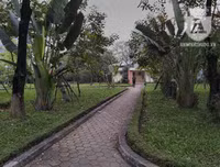 [Ảnh] Công viên Cầu Giấy: Hãi hùng vào nhà vệ sinh công cộng bẩn thỉu