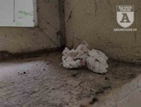 [Ảnh] Công viên Cầu Giấy: Hãi hùng vào nhà vệ sinh công cộng bẩn thỉu