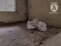 [Ảnh] Công viên Cầu Giấy: Hãi hùng vào nhà vệ sinh công cộng bẩn thỉu