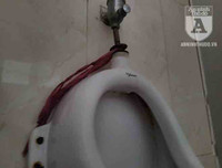 [Ảnh] Công viên Cầu Giấy: Hãi hùng vào nhà vệ sinh công cộng bẩn thỉu