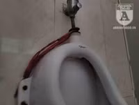 [Ảnh] Công viên Cầu Giấy: Hãi hùng vào nhà vệ sinh công cộng bẩn thỉu