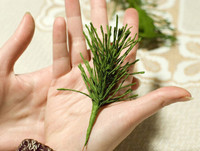 [Ảnh] Tự làm cây thông Noel cực ấn tượng từ vật liệu đơn giản (2)