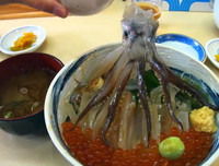 [ẢNH] Rợn người với 9 món ăn 