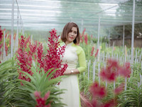 [ẢNH] Những phụ nữ 