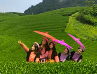 [ẢNH] Hút mắt những đồi chè xanh, đẹp như bích họa