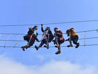 [ẢNH] Hút mắt những đồi chè xanh, đẹp như bích họa