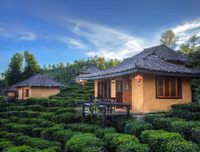 [ẢNH] Hút mắt những đồi chè xanh, đẹp như bích họa