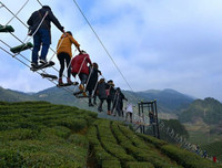 [ẢNH] Hút mắt những đồi chè xanh, đẹp như bích họa