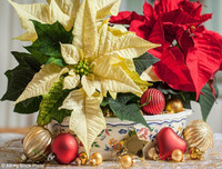 Khám phá nét thú vị trong phong tục đón Giáng sinh trên khắp thế giới