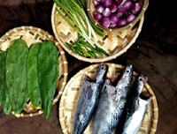 [ẢNH] Độc đáo với những món ngon được chế biến từ xương rồng