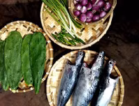 [ẢNH] Độc đáo với những món ngon được chế biến từ xương rồng