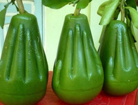 [ẢNH] Lạ mắt trái cây Tết mang ngoại hình 