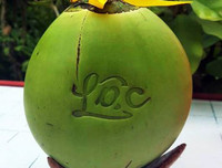 [ẢNH] Lạ mắt trái cây Tết mang ngoại hình 