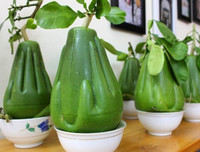 [ẢNH] Lạ mắt trái cây Tết mang ngoại hình 