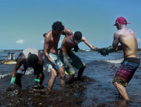 [ẢNH] Những bức hình đầy ám ảnh về ô nhiễm môi trường biển ở Brazil