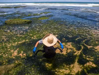 [ẢNH] Những bức hình đầy ám ảnh về ô nhiễm môi trường biển ở Brazil