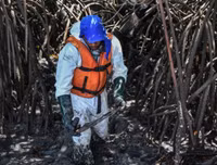 [ẢNH] Những bức hình đầy ám ảnh về ô nhiễm môi trường biển ở Brazil