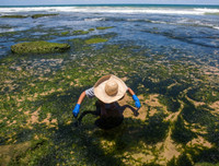 [ẢNH] Những bức hình đầy ám ảnh về ô nhiễm môi trường biển ở Brazil