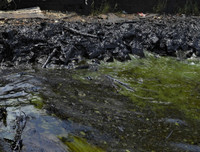 [ẢNH] Những bức hình đầy ám ảnh về ô nhiễm môi trường biển ở Brazil