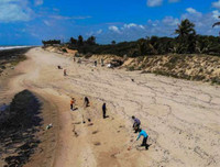 [ẢNH] Những bức hình đầy ám ảnh về ô nhiễm môi trường biển ở Brazil