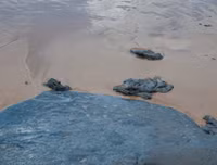 [ẢNH] Những bức hình đầy ám ảnh về ô nhiễm môi trường biển ở Brazil