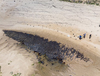 [ẢNH] Những bức hình đầy ám ảnh về ô nhiễm môi trường biển ở Brazil