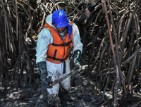 [ẢNH] Những bức hình đầy ám ảnh về ô nhiễm môi trường biển ở Brazil