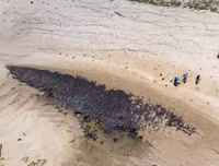 [ẢNH] Những bức hình đầy ám ảnh về ô nhiễm môi trường biển ở Brazil