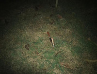 [ẢNH] Ám ảnh những vụ sát hại người yêu do mâu thuẫn tình cảm