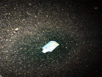 [ẢNH] Ám ảnh những vụ sát hại người yêu do mâu thuẫn tình cảm