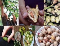 [ẢNH] Gợi cả trời thương nhớ với những hình ảnh mang ký ức tuổi thơ