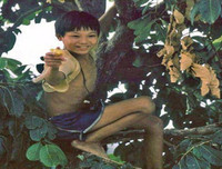 [ẢNH] Gợi cả trời thương nhớ với những hình ảnh mang ký ức tuổi thơ