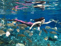 [ẢNH] Những bức ảnh đẹp lung linh đến khó tin sau khi rác rưởi được dọn dẹp