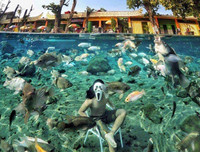 [ẢNH] Những bức ảnh đẹp lung linh đến khó tin sau khi rác rưởi được dọn dẹp