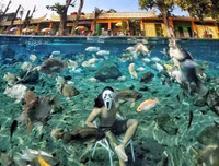 [ẢNH] Những bức ảnh đẹp lung linh đến khó tin sau khi rác rưởi được dọn dẹp