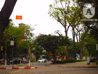 [Ảnh] Những cảnh 