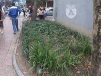 [ẢNH] Phố đi bộ Bờ hồ trụi cây sau một đêm countdown người 