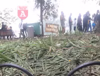 [ẢNH] Phố đi bộ Bờ hồ trụi cây sau một đêm countdown người 