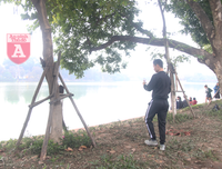 [ẢNH] Phố đi bộ Bờ hồ trụi cây sau một đêm countdown người 