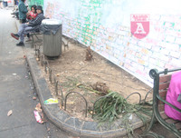 [ẢNH] Phố đi bộ Bờ hồ trụi cây sau một đêm countdown người 