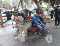 [ẢNH] Phố đi bộ Bờ hồ trụi cây sau một đêm countdown người 