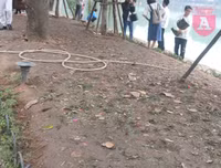 [ẢNH] Phố đi bộ Bờ hồ trụi cây sau một đêm countdown người 