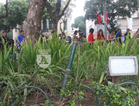 [ẢNH] Phố đi bộ Bờ hồ trụi cây sau một đêm countdown người 