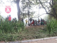 [ẢNH] Phố đi bộ Bờ hồ trụi cây sau một đêm countdown người 