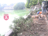 [ẢNH] Phố đi bộ Bờ hồ trụi cây sau một đêm countdown người 