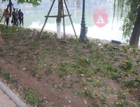 [ẢNH] Phố đi bộ Bờ hồ trụi cây sau một đêm countdown người 