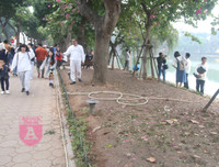 [ẢNH] Phố đi bộ Bờ hồ trụi cây sau một đêm countdown người 