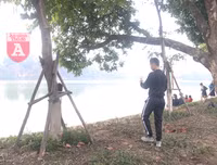 [ẢNH] Phố đi bộ Bờ hồ trụi cây sau một đêm countdown người 