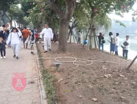 [ẢNH] Phố đi bộ Bờ hồ trụi cây sau một đêm countdown người 