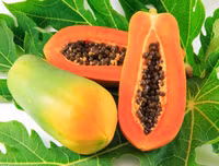 Những loại trái cây giải nhiệt, thanh lọc cơ thể vào mùa hè